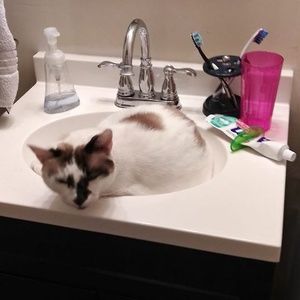 Meet your Posher, Scott